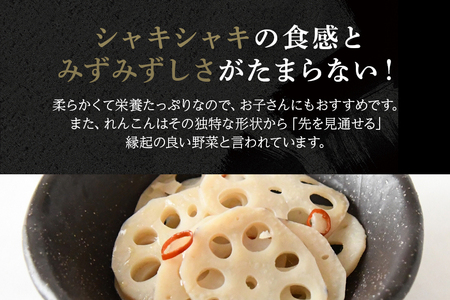 れんこん（中・小サイズ） 2kg 野菜 れんこん レンコン 蓮根 国産 8月上旬～2月中旬まで順次発送予定 51-C