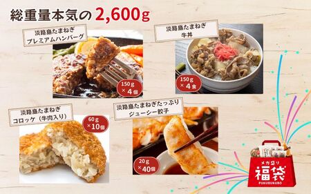 今井ファームのメガ盛り冷凍福袋【ハンバーグ・牛丼・餃子・コロッケ】