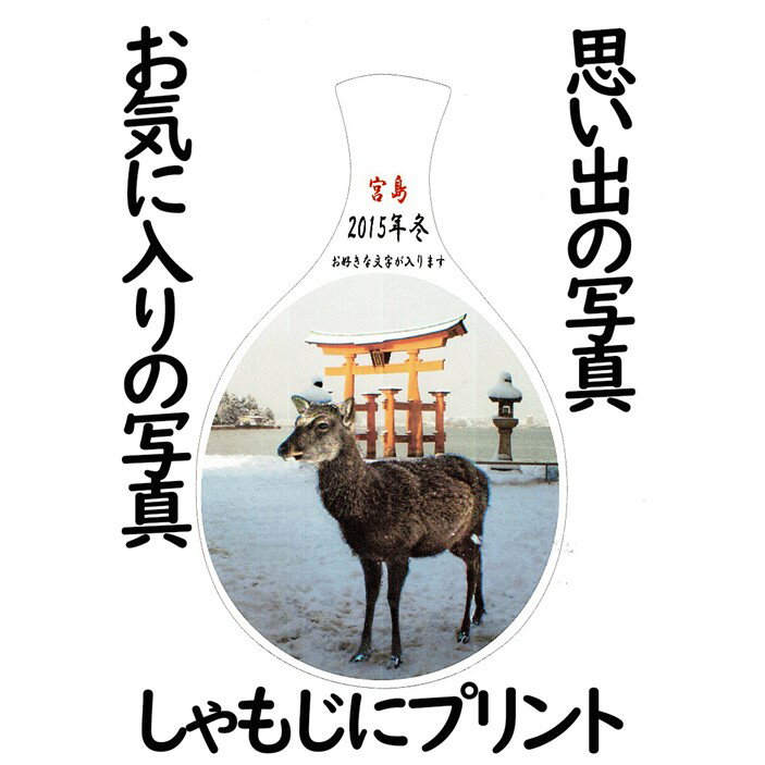 【ふるさと納税】写真しゃもじ「写絵」