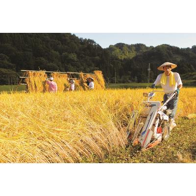 ふるさと納税 十日町市 【令和6年産】絶品米　天日干し有機JAS認証魚沼産コシヒカリ2kg |  | 03