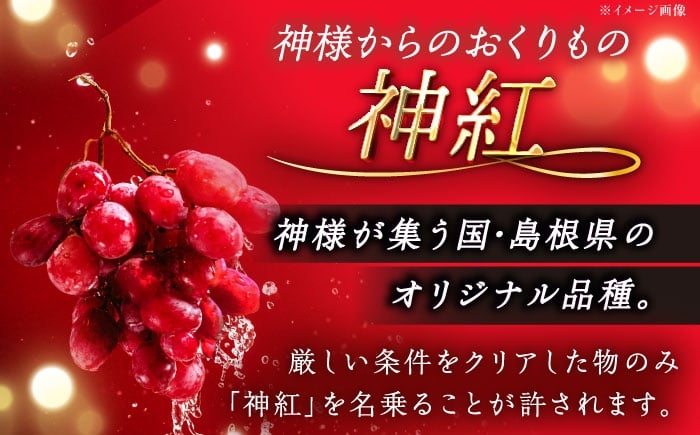 フルーツ 果物 ぶどう セット 食べ比べ 家庭用 訳あり