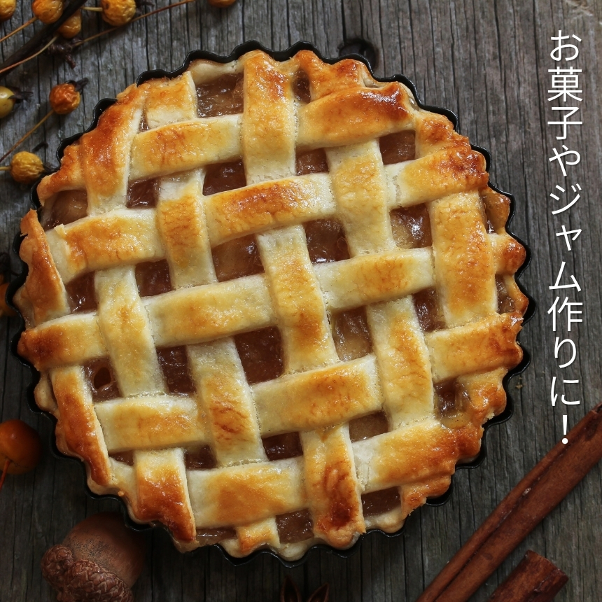 【 訳あり品 】 長野県産 ・ サンふじ (約10kg)＜2027年1月上旬～2月上旬発送＞ | 果物 くだもの フルーツ 訳あり サンふじ サンフジ りんご リンゴ 林檎 長野県 信州 南信州 飯田