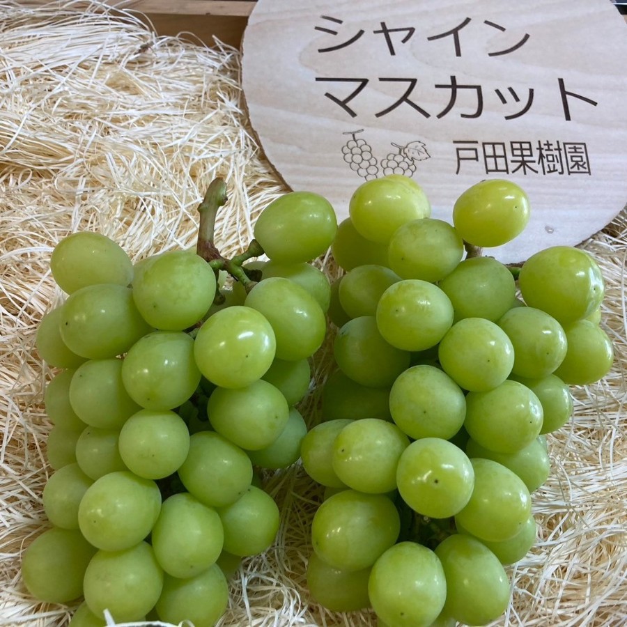 ＜戸田果樹園＞シャインマスカット（大粒）1kg(1～2房)