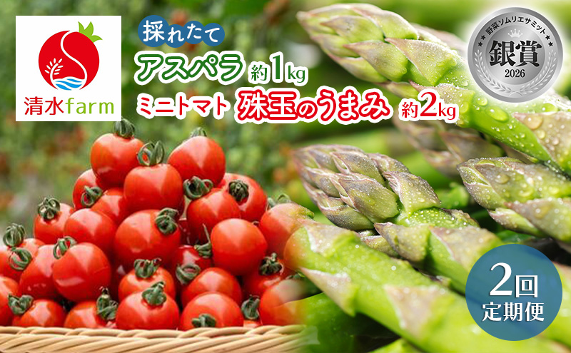 【2027年発送】●2回定期便● 富良野産 採れたて直送! 「アスパラ 約1kg・ミニトマト 珠玉のうまみ 約2kg」 (清水farm) アスパラ アスパラガス トマト ミニトマト とまと 野菜 新鮮 季節限定 北海道 富良野 ふらの