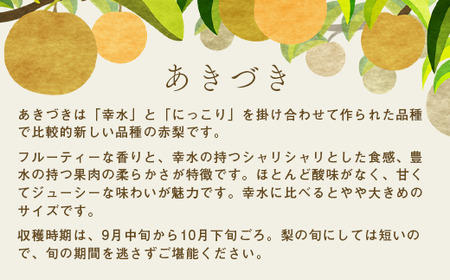 【先行予約 数量限定】梨 あきづき 約3kg 5玉～8玉 | 梨 梨 梨 梨 梨