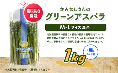 朝採り発送 かみなしさんのグリーンアスパラ 1kg（M-L混合サイズ）【32001】