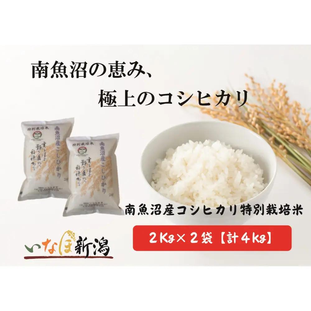 【令和7年】南魚沼産コシヒカリ特別栽培米 白米 2kg×2袋 計4kg | コシヒカリ