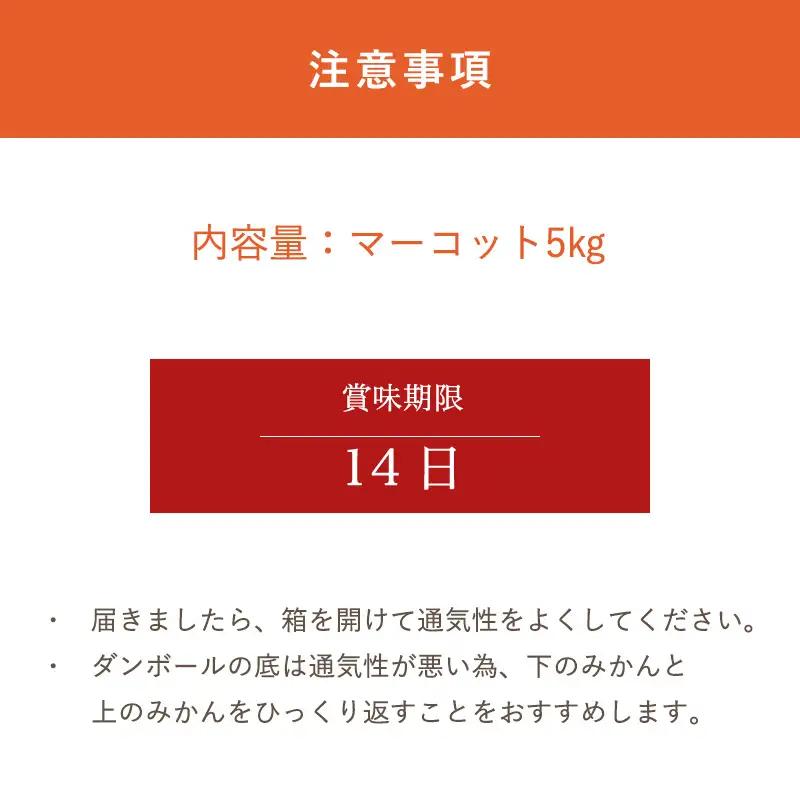 『先行予約』【令和9年2月中旬発送】マーコット（ハウス栽培）唐津産 5kg みかん ミカン 果物 フルーツ