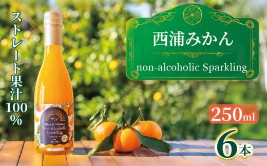 西浦 みかん スパークリング ジュース ストレート 果汁 100％ 250ml×6本 蜜柑 飲み物 ミカン 人気 贈答用 静岡 沼津