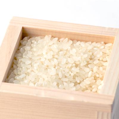 ふるさと納税 岐南町 ノナカデリカの自家製米 10kg(5kg×2袋) |  | 02