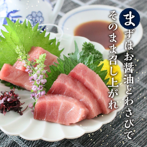 a60-021　訳あり【定期便 6回隔月でお届け】南鮪・刺身・中トロ(約700g)【定期便】