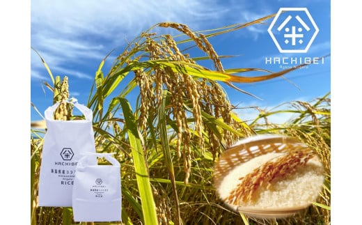 【令和7年産新米】【グッドライフアワード環境大臣賞受賞】 3ヶ月定期便 無洗米 コシヒカリ 5kg×3回 計15kg 農家直送 ほんのり甘い「はちみつ農法」 白米 精米 HACHIBEI 八米 1L13061
