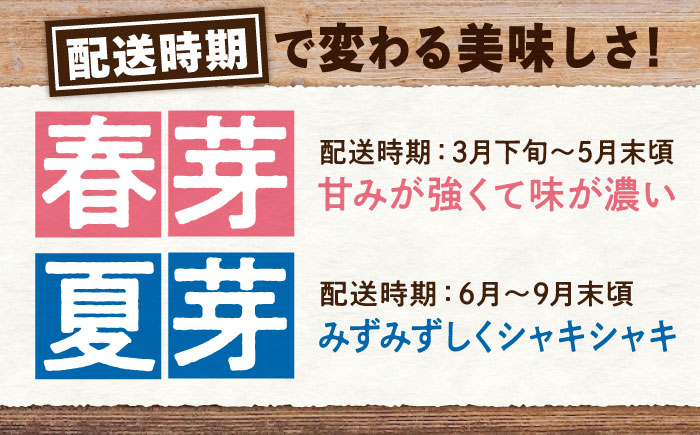 【スピード発送】 アスパラ （約1.5kg）先行予約 夏芽 アスパラガス 旬 野菜 グリーンアスパラ とれたて アスパラガス 朝採れ 三次市/福分アスパラ [APAU004]