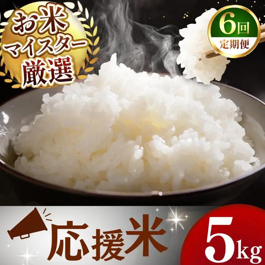 【定期便6回】令和7年産 熊本県産 穂のなごみ 白米 5kg こめ 米 訳あり 規格外