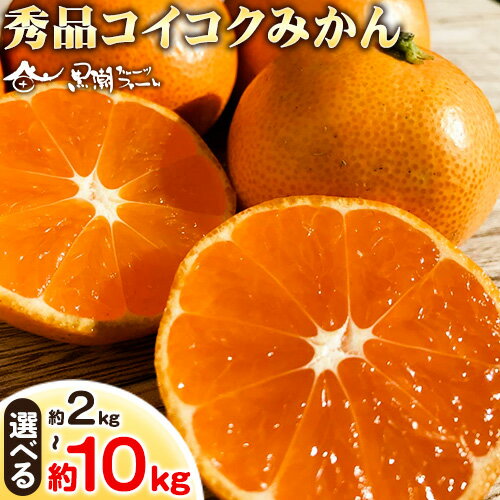 【ふるさと納税】【秀品】冬のみかん コイコク（恋い告）選べる 内容量 約2kg 約3kg 約5kg 約10kg※重量には箱の重量も含まれております※ 黒潮フルーツファーム《2025年11月下旬-12月下旬頃出荷》和歌山県 紀の川市 みかん ミカン 果物 フルーツ 柑橘