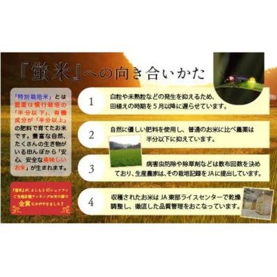 ふるさと納税 小松市 【令和7年産】 コシヒカリ 精米 蛍米 10kg ( 5kg×2袋 ) 石川県 小松市 JA小松市 |  | 02