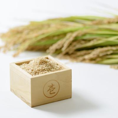 ふるさと納税 上越市 数量限定★令和7年産|棚田米コシヒカリ|新潟上越牧産ブランド米「幻米」4kg(2kg×2袋)玄米 |  | 03