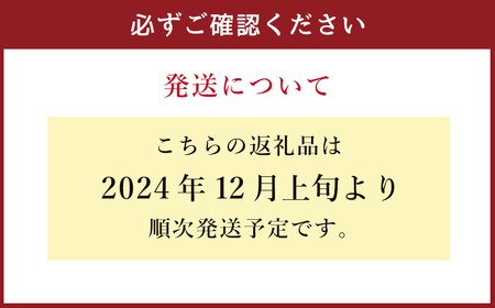 福岡県産 あまおう 2パック 合計500g以上 いちご 苺【2024年12月-2025年3月下旬発送】