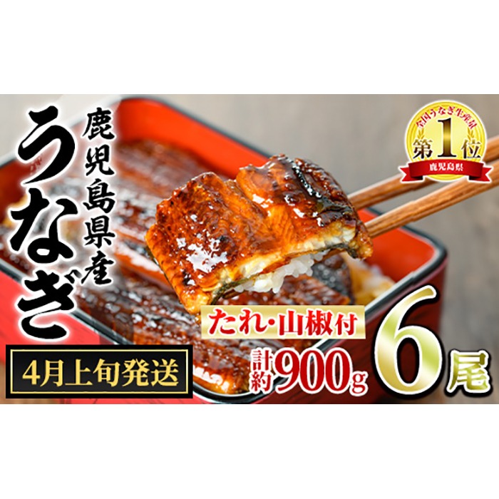 【0394344a-2604】＜4月上旬発送予定＞東串良町のうなぎ蒲焼(無頭)(6尾・計約900g・タレ、山椒付) うなぎ 高級 ウナギ 鰻 国産 蒲焼 蒲焼き たれ 鹿児島 ふるさと 人気 【アクアおおすみ】