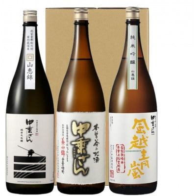 
中乗さん　豪華飲み比べセット(1800ml×3本)【1264176】
