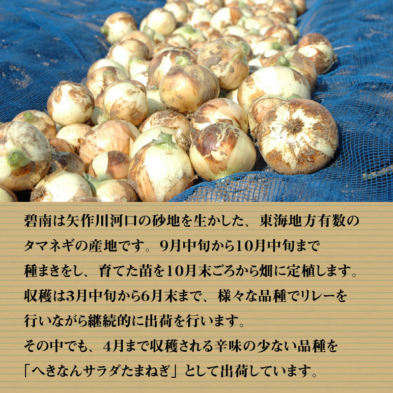 みずみずしく辛味の少ない「へきなんサラダたまねぎ」10kg　H017-101