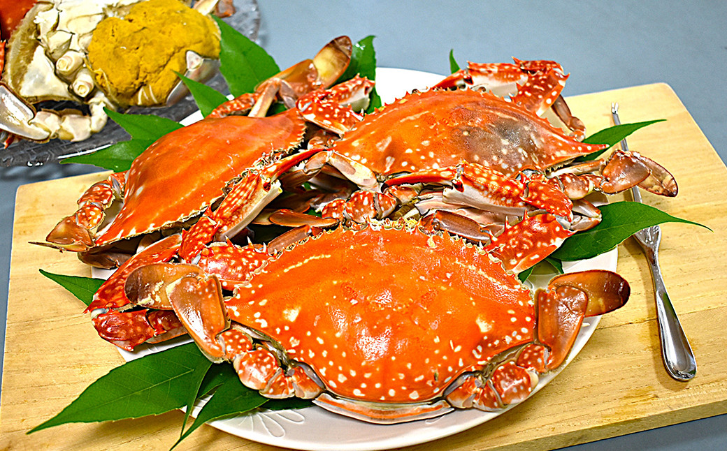 
            天草産 天然ワタリガニ オスのみ 1.2kg 3～6杯 ワタリガニ 渡り蟹 蟹 かに カニ 冷凍 熊本県 上天草市
          