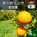 【ふるさと納税】国産 オーガニック紅甘夏 約4kg 甘夏 有機JAS認証 瀬戸内 広島 大崎上島 離島 有機栽培 安心 安全 オーガニックフルーツ 柑橘 あまなつ 濃厚 果物 ギフト 2~3月発送 送料無料 産地直送 中原観光農園