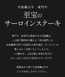 【極上 丹波篠山牛】 サーロインステーキ （5枚入） サーロイン AB16