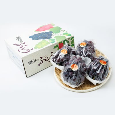 【2026年先行受付】果汁たっぷり朝採りピオーネ2kg【配送不可地域：離島・北海道・沖縄県】