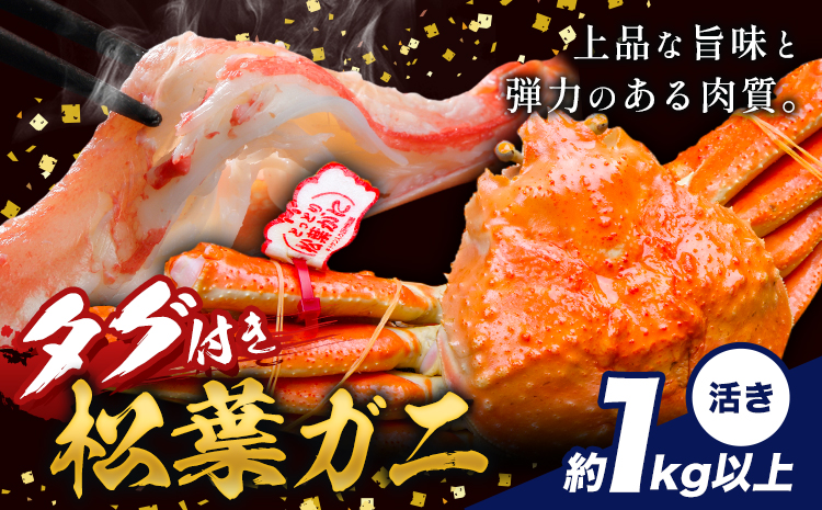 かに タグ付き 松葉ガニ 約1kg 以上 活き 《11月上旬-4月中旬頃出荷》お魚センターみくりや 鳥取県 八頭町 蟹 かに カニ 鍋 松葉ガニ 活き 送料無料
