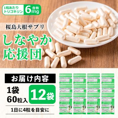 ふるさと納税 曽於市 しなやか応援団(60粒×12袋) |  | 01