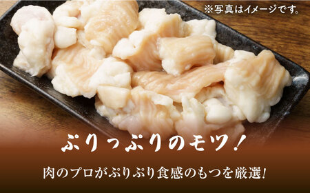 博多 醤油 もつ鍋 セット 3-4人前 [VBB033] 鍋ゼット モツナベ