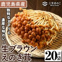 【ふるさと納税】生ブラウンえのき茸(20袋・計3.6kg)国産 エノキ きのこ 茸 キノコ 個包装【三笠えのき茸生産組合】a-12-220