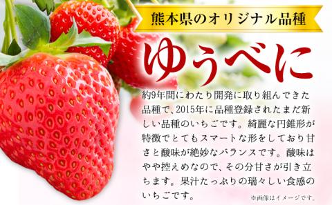 【数量限定】ゆうべに 約1,000g（約250g×4パック）いちご 苺 ゆうべに《3月出荷予定》---hkw_cjaybn_ac3_r8_10000_4p---