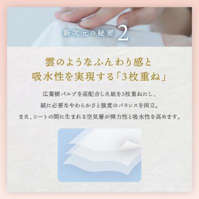 ふるさと納税 高知市 新保湿ティシュ絹雲3枚重ね8組(24枚)4個入り×20パック(計80個)【AJ008】 |  | 03