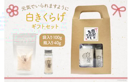 きくらげ 白いきくらげ ギフト セット 粉末 100g 瓶入り 粉末 40g [かいファーム 宮崎県 日向市 452061162] キクラゲ 木耳 きくらげパウダー パウダー 国産