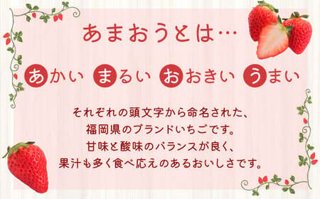 福岡県産 博多あまおう約560g（約280g×2パック入り） いちご 苺 イチゴ フルーツ 果物 くだもの  【2025年1月下旬～3月下旬発送予定】