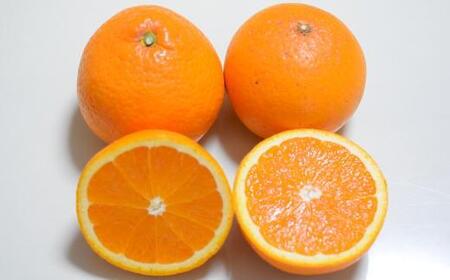 ［訳あり・ご家庭用］和歌山由良町産の濃厚清見オレンジ約10kg★2026年2月中旬頃より順次発送［TM132］