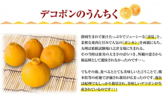 田村産「デコ」不知火[約3kg]湯浅町田村産春みかん(果実サイズおまかせ)/紀伊国屋文左衛門本舗　※2026年2月中旬～2024年3月下旬頃に順次発送予定(お届け日指定不可)【sutb493A】