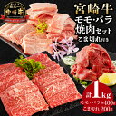 【ふるさと納税】宮崎牛モモ焼肉400g×1、宮崎牛バラ焼肉400g×1、宮崎県産黒毛和牛こま切れ100g×2 ミヤチク 赤身 日本食肉格付協会 A5等級 A4等級 全国和牛能力共進会 お肉 牛肉 肉 精肉 小間肉 モモ肉 バラ肉 モモ バラ 小間切れ セット 詰め合わせ 宮崎市 送料無料