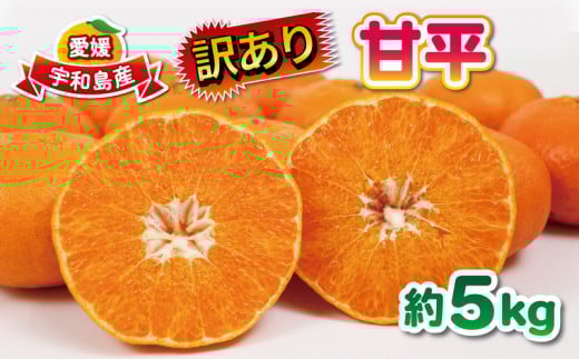 訳あり 甘平 5kg 大田農園 高級 希少 限定 品種 甘い シャキシャキ 果物 くだもの 先行予約 mikan フルーツ 柑橘 みかん かんぺい 訳アリ 訳あり品 訳有り わけあり 愛媛みかん 愛媛ミカン 愛媛県産 愛媛蜜柑 国産 愛媛 宇和島 産地直送 農家直送 数量限定 B012-121002