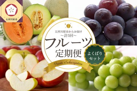 【2025年7月発送開始】フルーツ 定期便 5回 よくばり セット　訳あり品含む