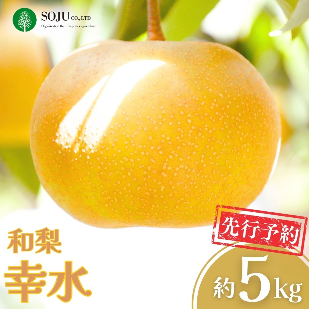 【ふるさと納税】先行予約 和梨 幸水 約5kg 令和8年度 贈答用 新潟県 三条市産 [三条果樹専門家集団] 【016P019】