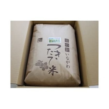 【毎月定期便】猪名川町のお米・コシヒカリ(精米)約18kg×全5回【4084813】