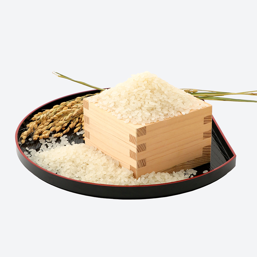 【令和8年産新米予約】森のくまさん5kg