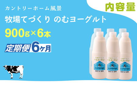 【定期6ヶ月】のむヨーグルト 900g ×6 SKB041