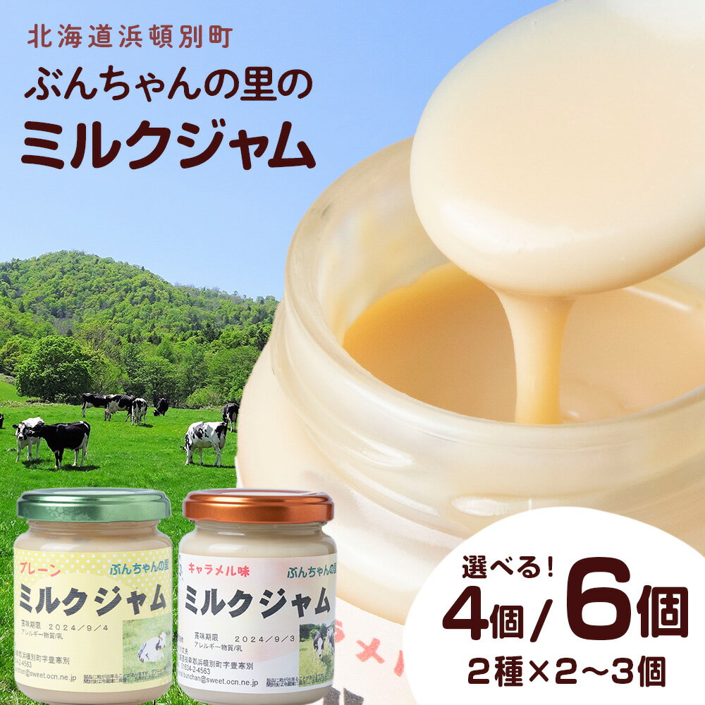 【ふるさと納税】 北海道 ぶんちゃんの里 ミルクジャム 選べる4個～6個セット（プレーン×2～3個、キャラメル×2～3個） 手作り 瓶 小分け北海道牛乳 生乳 牛乳 ジャム ミルク 手作りジャム 北海道ふるさと納税 ふるさと納税 北海道 浜頓別 通販 贈答品 贈り物