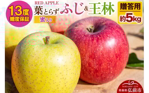 【25年12月発送】りんご 13度糖度保証【贈答用】蜜入り 葉とらずふじ＆王林 約5kg