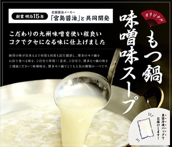 【ふるさと納税】訳あり！博多味噌もつ鍋 10人前セット [a9437] 株式会社Meat Plus ※配送不可：離島【返礼品】添田町 ふるさと納税
