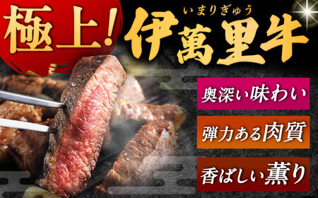 伊萬里牛赤身ブロック 500g / 佐賀県 / まつお食肉卸株式会社 [41AECZ001]
